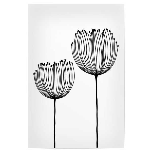 Poster 30x20 cm "Zwei Wildblumen" artboxONE - Natur,Floral,Abstrakt,Schwarzweiß