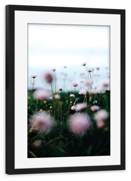 Poster mit Rahmen schwarz "Blumen auf Rügen" artboxONE - Natur,Reise,Abstrakt,Reise / Länder - Blumen,Pflanzen,Floral,Fotografie,Moody