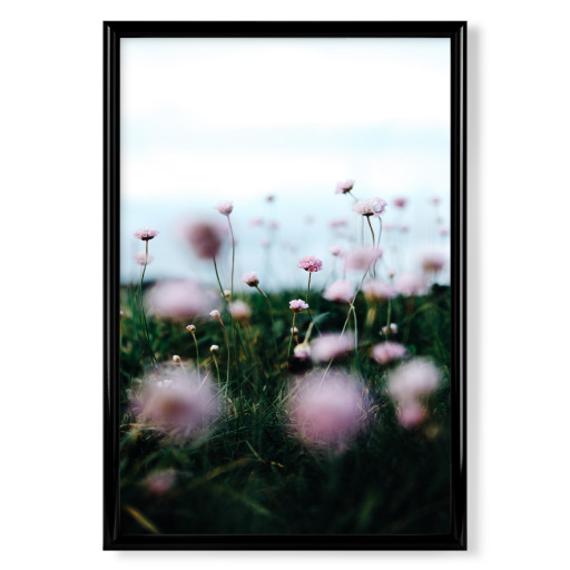 Flowers on Rügen