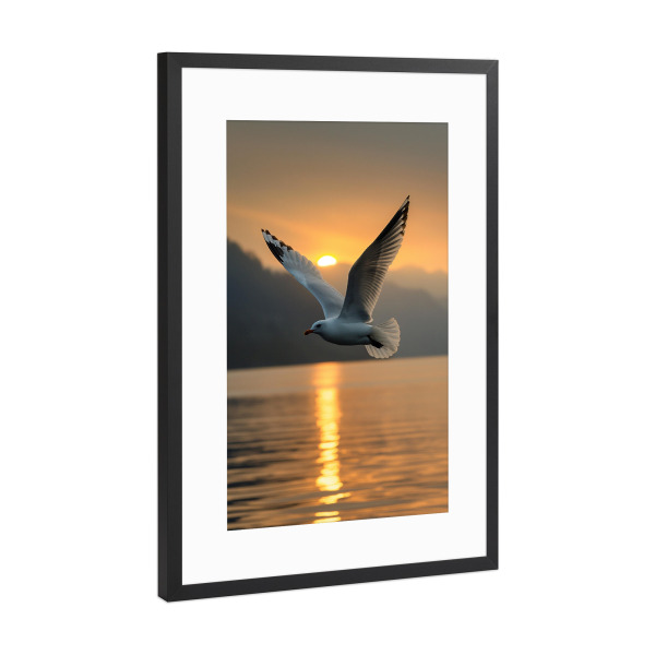 Poster mit Rahmen Schwarz (Metallic) "Möve im Abendlicht" artboxONE - Natur,Reise,Tiere