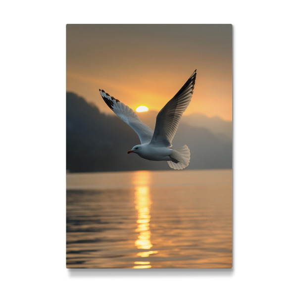 Galerie-Print "Möve im Abendlicht" 75x50 cm artboxONE
