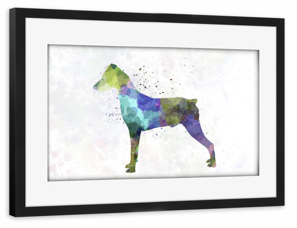 Poster mit Rahmen schwarz "Deutscher Pinscher im Aquarell" artboxONE - Tiere,Abstrakt - Hund,Haustier,Tier,Säugetier,Aquarell,Illustration,Abstrakt