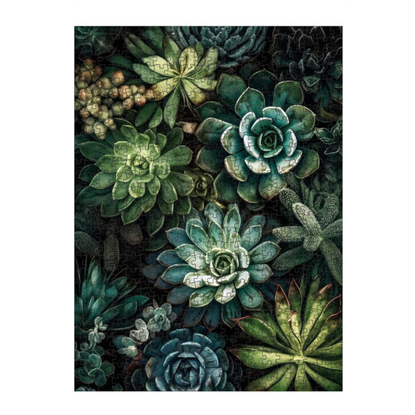 artboxONE Puzzle "Sukkulenten und Kakteen R" artboxONE - Natur,Floral - Sukkulenten,Kakteen,Kaktus,Natur,Blumen,Botanische,Blatt,Blumen