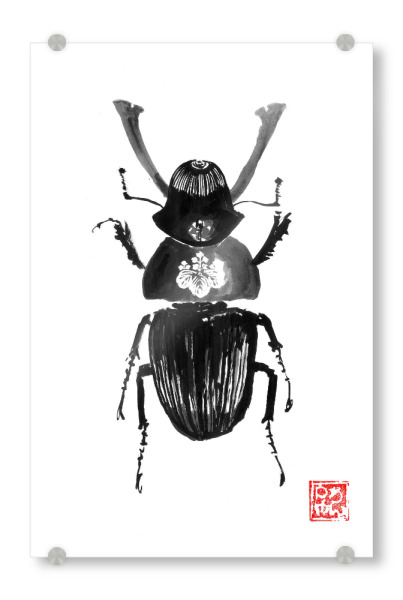 Acrylglasbild "Samurai-Käfer" artboxONE - Tiere,Schwarzweiß,Reise / Asien - Samurai,Käfer,Sumie,Japan,Insekt