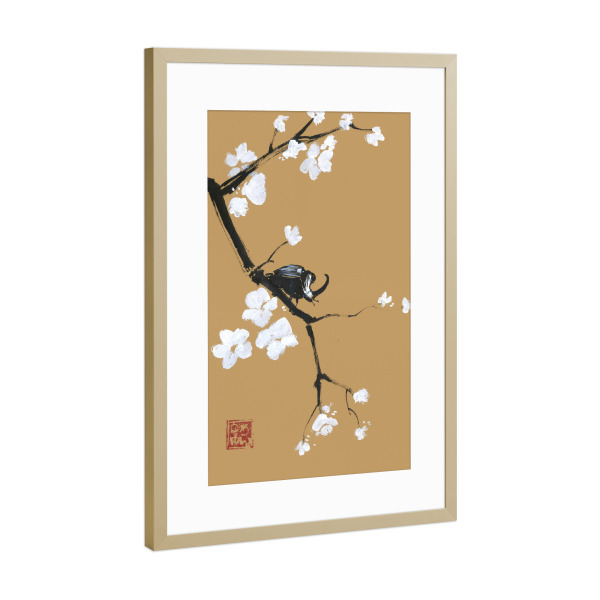 Poster mit Rahmen Gold "Käfer auf braunem Papier" artboxONE - Natur,Floral,Tiere - Sumie,Japan,Käfer,Zweig,Baum,Kirsche,Blume,Blüte