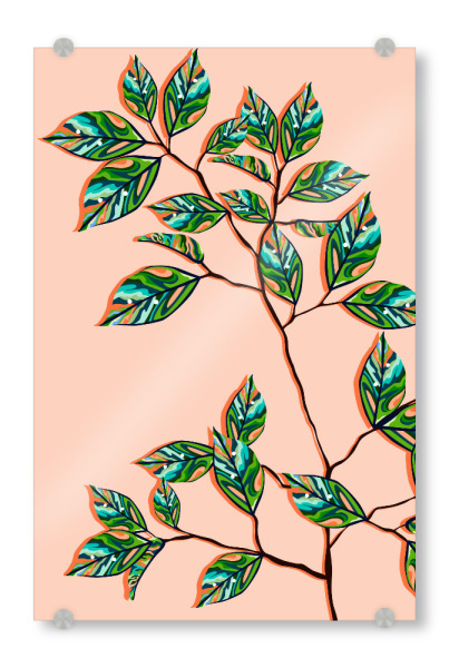 Acrylglasbild "Pfirsichflaum botanisch" artboxONE - Natur,Floral