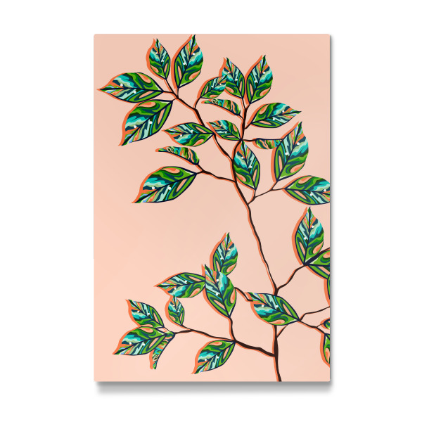 Galerie-Print "Pfirsichflaum botanisch" 30x20 cm artboxONE