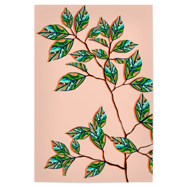 Poster "Pfirsichflaum botanisch" artboxONE - Natur,Floral