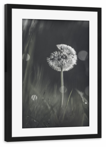 Poster mit Rahmen schwarz "Sehnsuchtsbaum" artboxONE - Natur,Floral,Für Mama