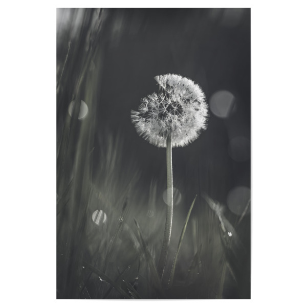 Poster 30x20 cm "Sehnsuchtsbaum" artboxONE - Natur,Floral,Für Mama