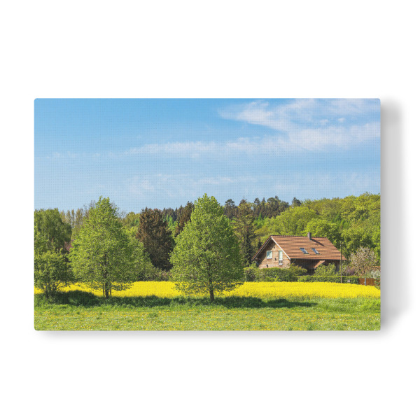Leinwandbild "Rapsfeld mit Bäumen und Wiese" artboxONE - Natur,Reise,Architektur