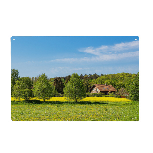 Holzbild "Rapsfeld mit Bäumen und Wiese" artboxONE - Natur,Reise,Architektur