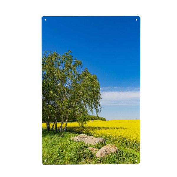 Holzbild "Rapsfeld mit Bäumen und Steine" artboxONE - Natur,Reise