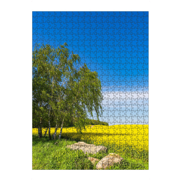 artboxONE Puzzle "Rapsfeld mit Bäumen und Steine" artboxONE - Natur,Reise