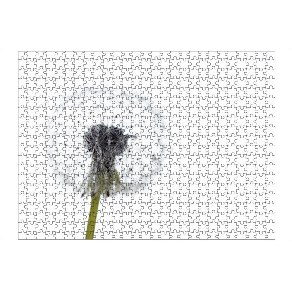 artboxONE Puzzle "Die Pusteblume" artboxONE - Natur,Floral - Löwenzahn,Pusteblume,Blume,Samen,Blüte - Bild löwenzahn