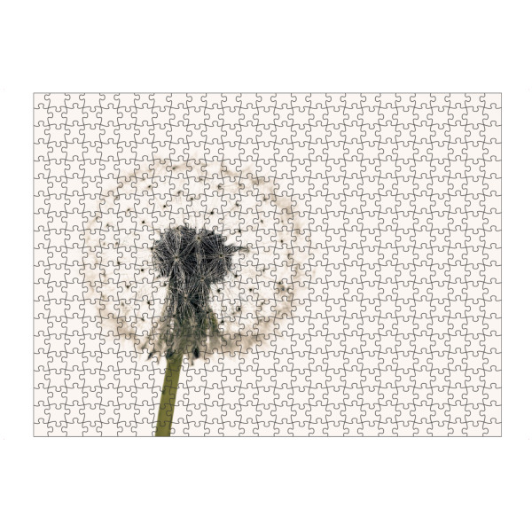 artboxONE Puzzle "Eine Pusteblume" artboxONE - Natur,Floral - Löwenzahn,Pusteblume,Blume,Samen,Blüte - Bild löwenzahn