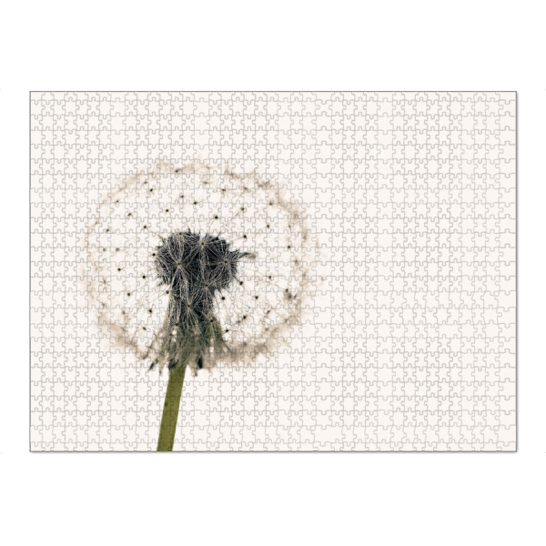 Puzzle Ravensburger "Eine Pusteblume" artboxONE - Natur,Floral - Löwenzahn,Pusteblume,Blume,Samen,Blüte - Bild löwenzahn