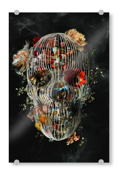 Acrylglasbild "Käfigschädel" artboxONE - Natur,Floral,Halloween - Totenkopf,Kunst,Illustration,Boho,Zuckerschädel,Digital,Collage,Zeichnung