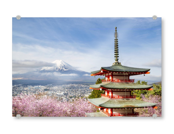 Acrylglasbild "Fuji mit Pagode zur Kirschblüte" artboxONE - Natur,Reise / Asien