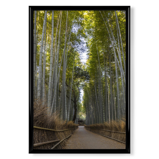 Gorgeous Arashiyama Bamboo Forest Gorgeous Arashiyama Bamboo Forest