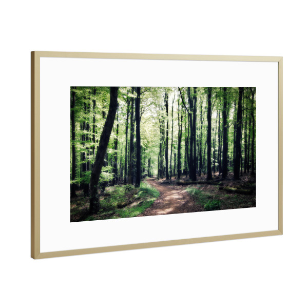 Poster mit Rahmen Gold "Wald Spaziergang" artboxONE - Natur,Reise,Floral