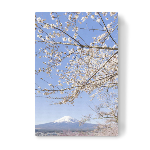 Leinwandbild "Bezaubernder Fuji bei Kirschblüte" artboxONE - Natur,Reise / Asien