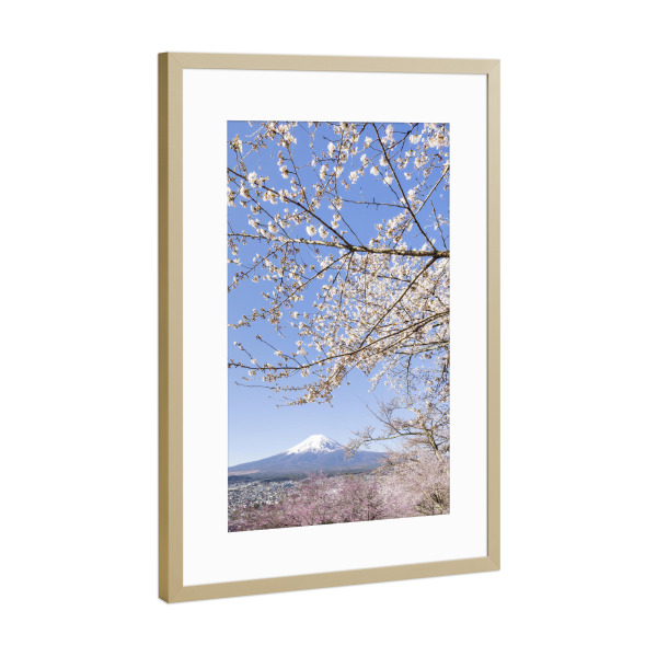 Poster mit Rahmen Gold "Bezaubernder Fuji bei Kirschblüte" artboxONE - Natur,Reise / Asien