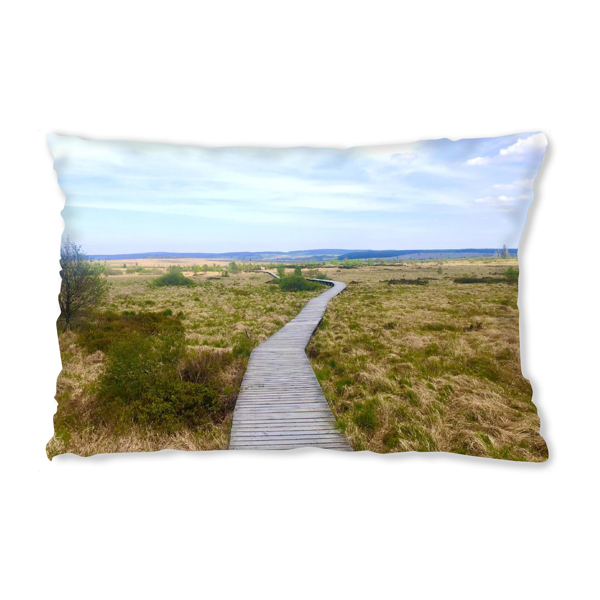 Design-Kissen "Holzstege im Hohen Venn" artboxONE - Natur,Reise,Reise / Länder