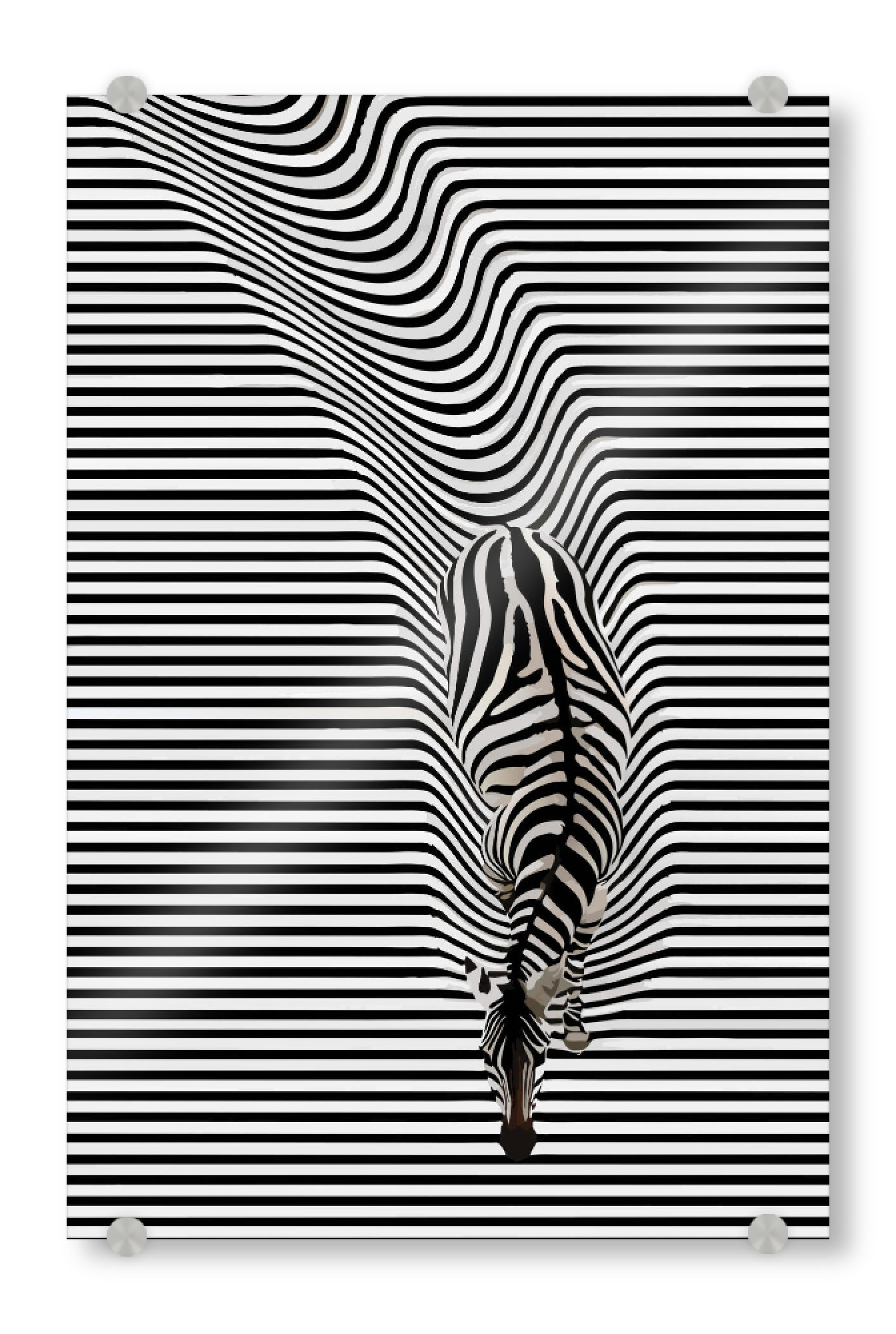 Acrylglasbild "Abstract zebra" artboxONE - Tiere,Abstrakt,Schwarzweiß - Abstract zebra,Zebra,Animal,Abstract,Illusion,Lines,Black and white,Modern