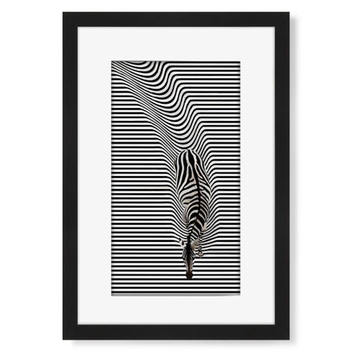 Abstract zebra