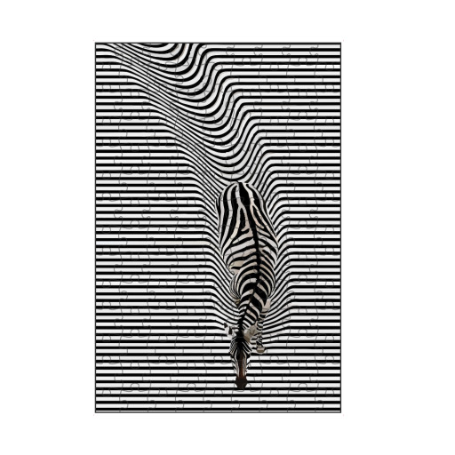 Abstract zebra