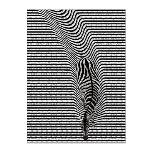 Abstract zebra
