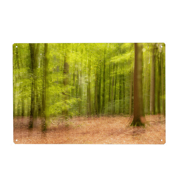 Metall Poster "Zartes Grün" artboxONE - Natur - Wald,Bäume,Blätter,Laub,Frühling - Blechschild