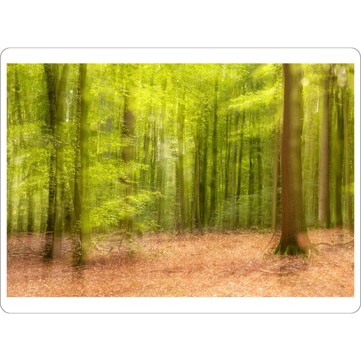 Tischset "Zartes Grün" artboxONE - Natur - Wald,Bäume,Blätter,Laub,Frühling - Bild wald
