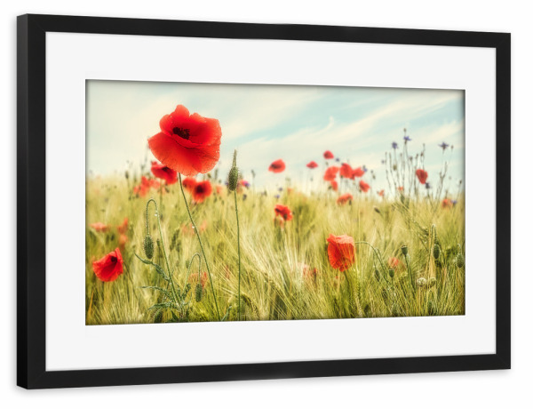 Poster mit Rahmen schwarz "Sommer auf dem Land" artboxONE - Natur,Reise,Floral