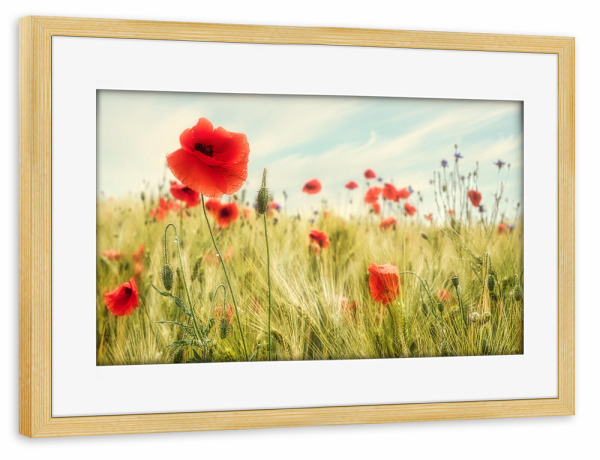 Poster mit Rahmen kiefer "Sommer auf dem Land" artboxONE - Natur,Reise,Floral