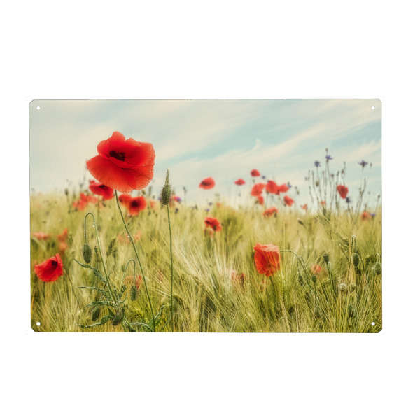 Holzbild "Sommer auf dem Land" artboxONE - Natur,Reise,Floral