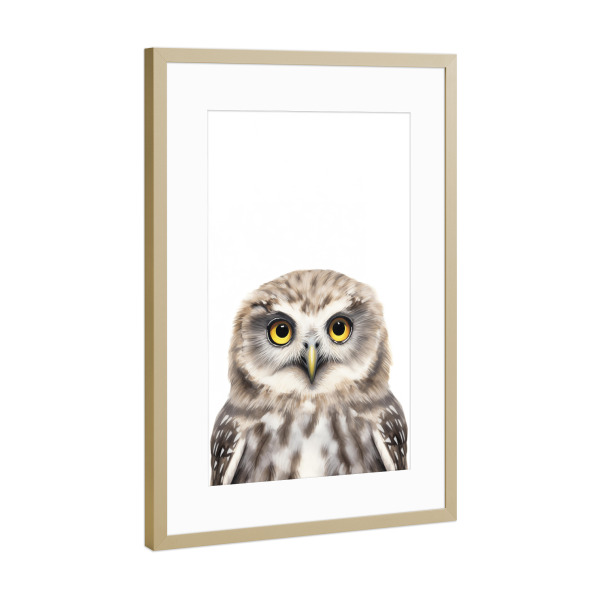 Poster mit Rahmen Gold "Eulen-Blick" artboxONE - Typografie,Tiere,Lustig
