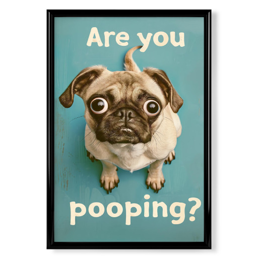 Are you Pooping x Pug