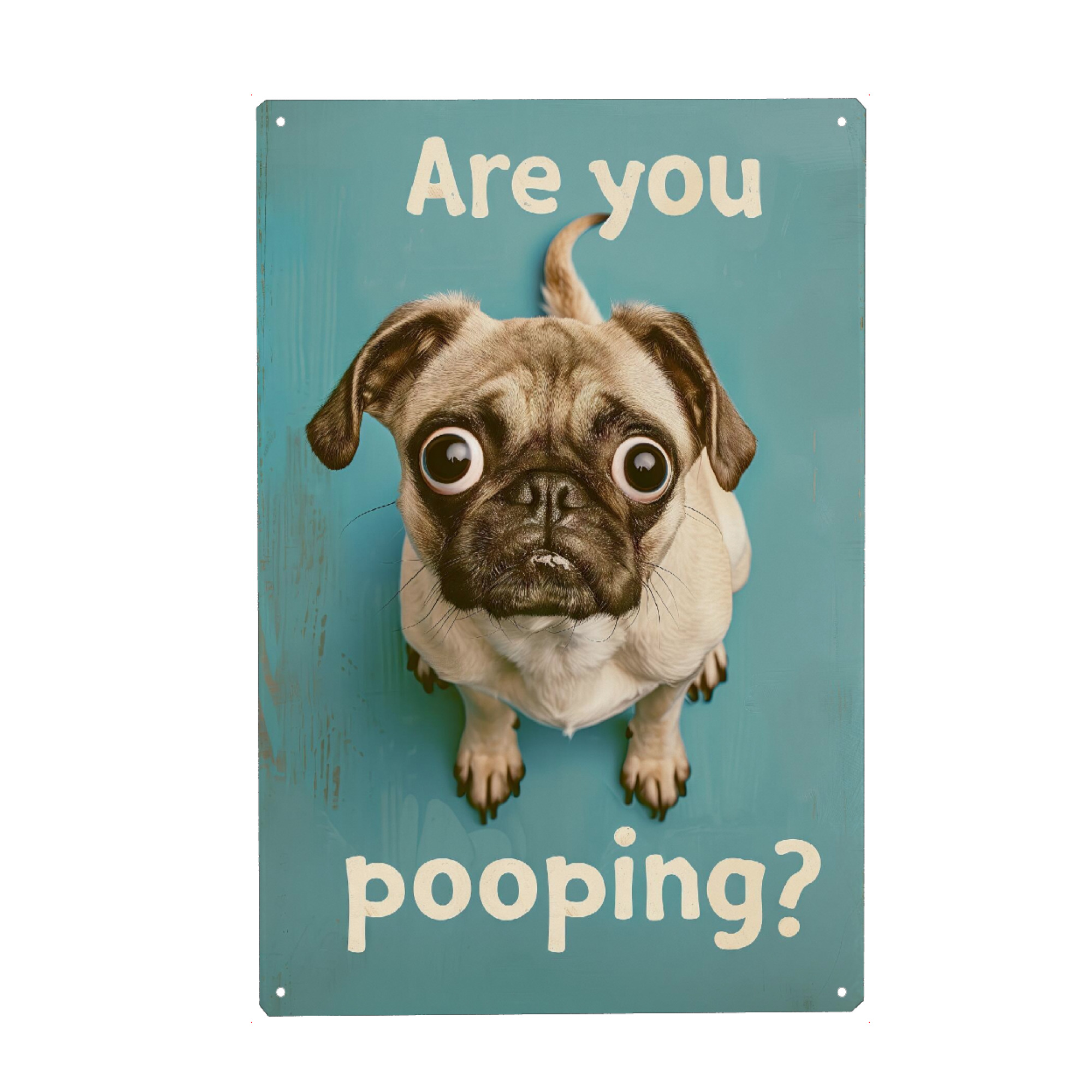 Metall Poster "Are you Pooping x Pug" artboxONE - Tiere,Lustig - Klo,Wc,Mops,Pooping,Lustig,Hund,Geschenk,Dog,Toilette - Blechschild