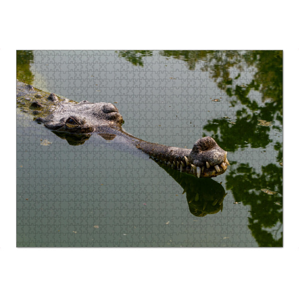 Puzzle Ravensburger "Gangesgavial in Indien" artboxONE - Tiere - Krokodil,Alligator,Gangesgavial,Gavial,Indien,Ganges,Reptil,Zähne,Gebiss,Kiefer