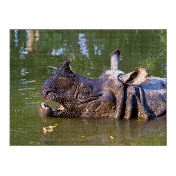 Puzzle Ravensburger "Indisches Panzernashorn" artboxONE - Tiere,Reise / Asien - Panzernashorn,Nashorn,Indien,Nepal,Wildlife - Bild panzernashorn