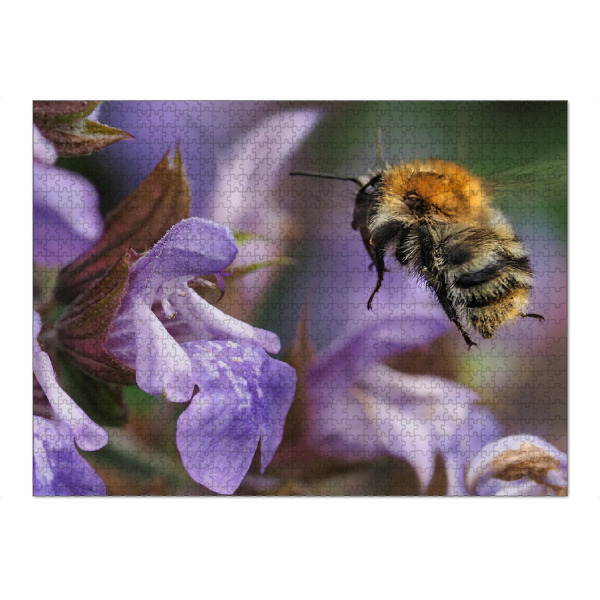 Puzzle Ravensburger "Hummel am Salbei" artboxONE - Natur,Tiere