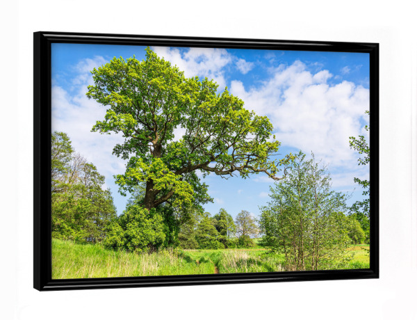 Poster mit schwarzem Rahmen "Landschaft nahe Mellenthin" artboxONE - Natur,Reise