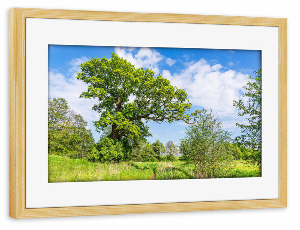 Poster mit Rahmen kiefer "Landschaft nahe Mellenthin" artboxONE - Natur,Reise