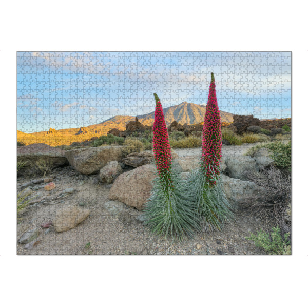 Puzzle Ravensburger "Teneriffa blühende Natternköpfe" artboxONE - Natur,Floral,Reise / Länder