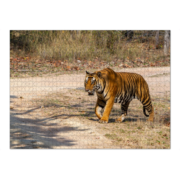 Puzzle Ravensburger "Der Bengal Tiger" artboxONE - Tiere,Reise / Asien