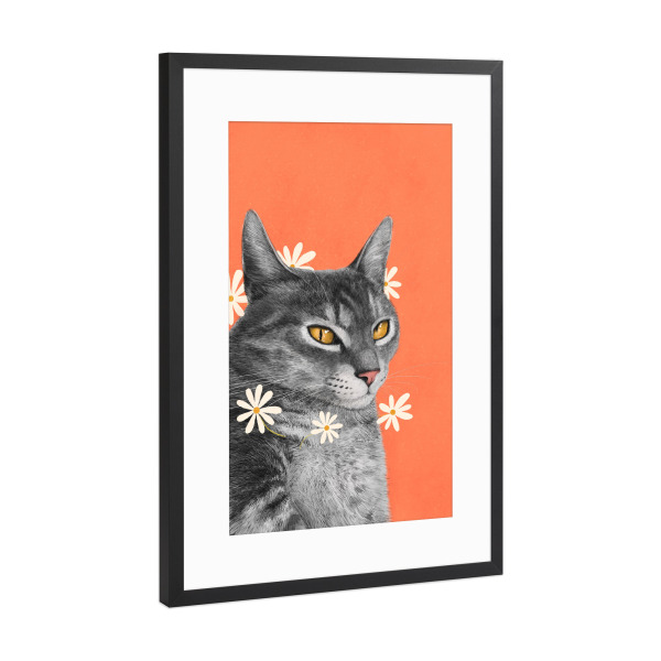 Poster mit Rahmen Schwarz (Metallic) "Katze mit Kamillenblüten" artboxONE - Floral,Für Kinder,Tiere,Für Mama,Lustig