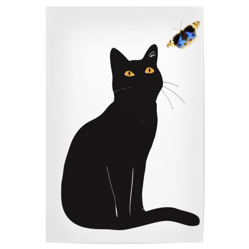 Black cat and blue butterfly