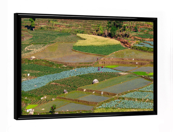 Poster mit schwarzem Rahmen "Landwirtschaft in Nepal" artboxONE - Natur,Reise / Asien - Nepal,Landwirtschaft,Landschaft,Natur,Felder,Himalaya